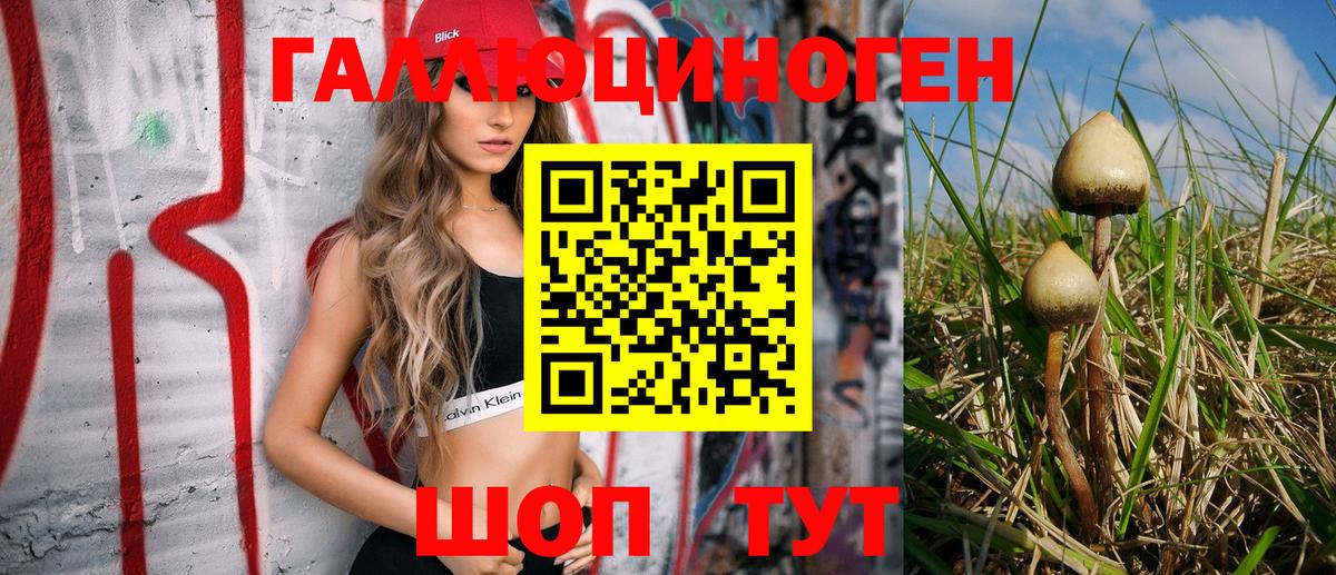 Екатеринбург  Галлюциногенные грибы Magic Shrooms  Вход с VPN 
